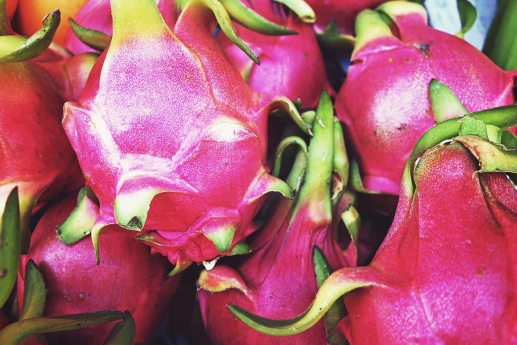 Pitaya — 2